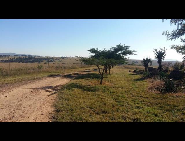FARM FOR SALE IN LYDENBURG RURAL